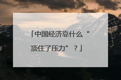 中国经济靠什么“顶住了压力”？