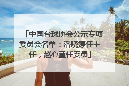 中国台球协会公示专项委员会名单：潘晓婷任主任，赵心童任委员
