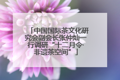 中国国际茶文化研究会副会长张仲灿一行调研“十二月令·非遗茶空间”