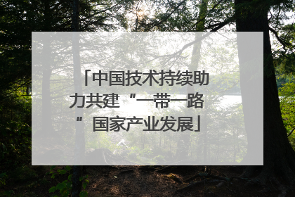 中国技术持续助力共建“一带一路”国家产业发展
