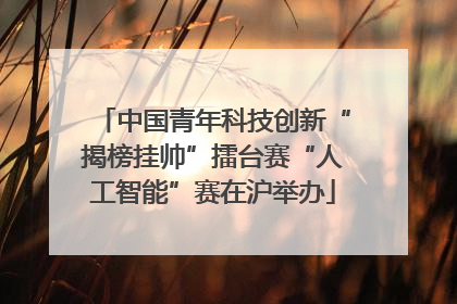 中国青年科技创新“揭榜挂帅”擂台赛“人工智能”赛在沪举办