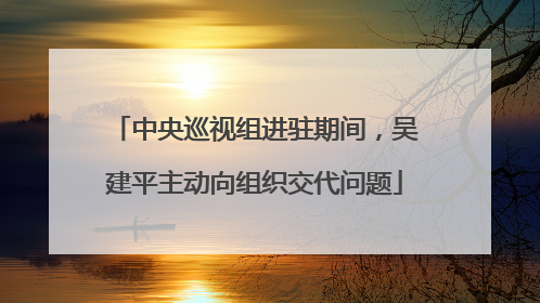 中央巡视组进驻期间，吴建平主动向组织交代问题