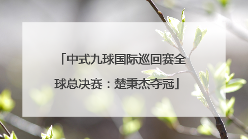 中式九球国际巡回赛全球总决赛：楚秉杰夺冠
