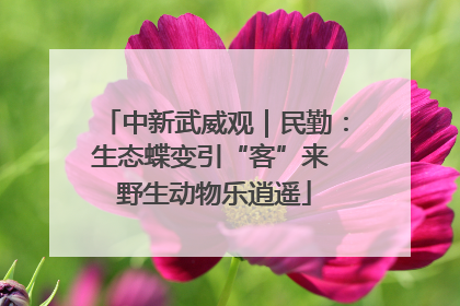 中新武威观｜民勤：生态蝶变引“客”来 野生动物乐逍遥
