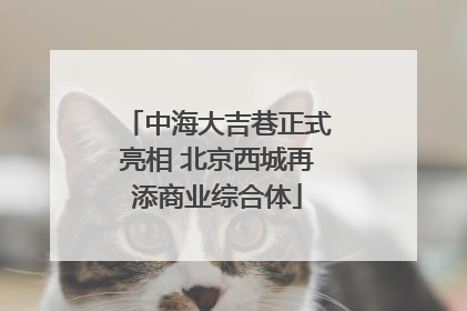 中海大吉巷正式亮相 北京西城再添商业综合体