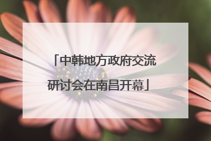 中韩地方政府交流研讨会在南昌开幕