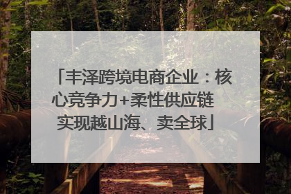 丰泽跨境电商企业：核心竞争力+柔性供应链 实现越山海、卖全球