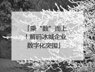乘“数”而上！解码冰城企业数字化突围