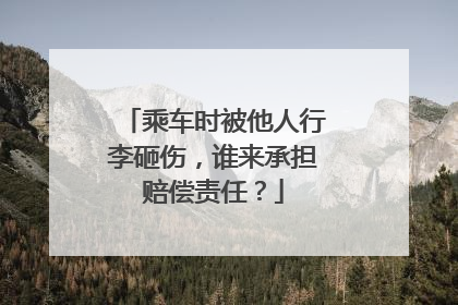 乘车时被他人行李砸伤，谁来承担赔偿责任？