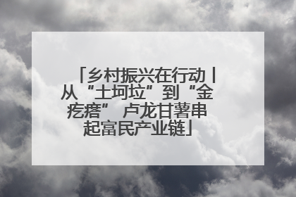 乡村振兴在行动丨从“土坷垃”到“金疙瘩” 卢龙甘薯串起富民产业链
