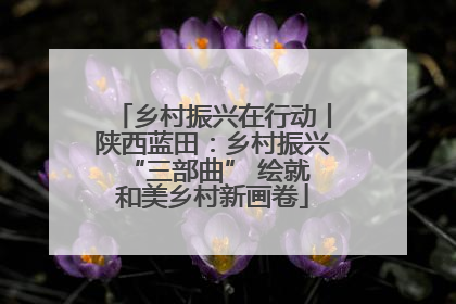 乡村振兴在行动丨陕西蓝田：乡村振兴 “三部曲” 绘就和美乡村新画卷