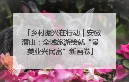 乡村振兴在行动｜安徽潜山：全域旅游绘就“景美业兴民富”新画卷