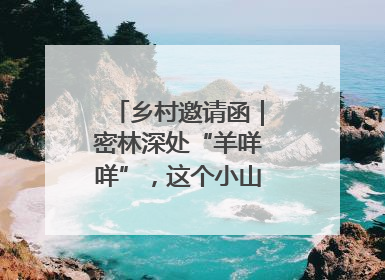 乡村邀请函｜密林深处“羊咩咩”，这个小山村如何逆袭？