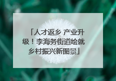 人才返乡 产业升级！李海务街道绘就乡村振兴新图景