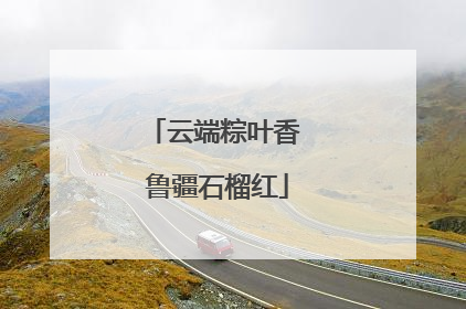 云端粽叶香 鲁疆石榴红