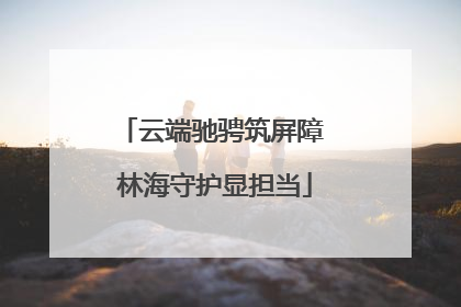云端驰骋筑屏障 林海守护显担当