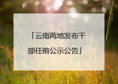 云南两地发布干部任前公示公告