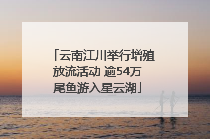 云南江川举行增殖放流活动 逾54万尾鱼游入星云湖