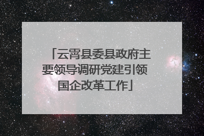 云霄县委县政府主要领导调研党建引领国企改革工作