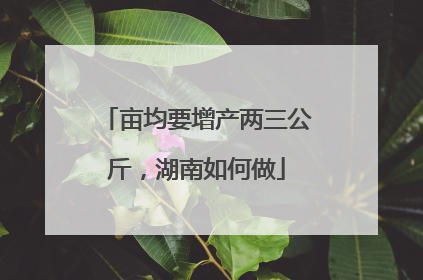亩均要增产两三公斤，湖南如何做