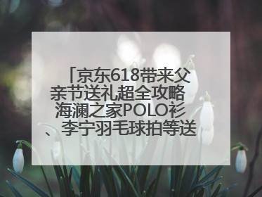 京东618带来父亲节送礼超全攻略 海澜之家POLO衫、李宁羽毛球拍等送到爸爸心坎上