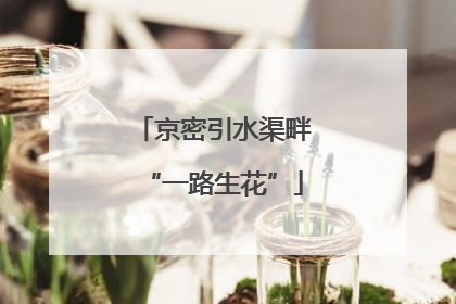 京密引水渠畔“一路生花”