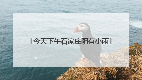 今天下午石家庄阴有小雨