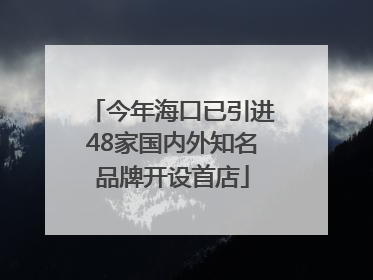 今年海口已引进48家国内外知名品牌开设首店