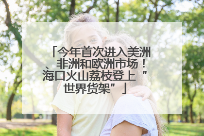 今年首次进入美洲、非洲和欧洲市场！海口火山荔枝登上“世界货架”