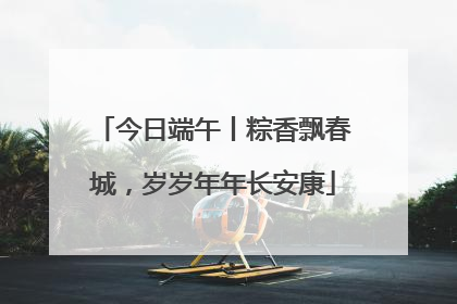 今日端午丨粽香飘春城，岁岁年年长安康