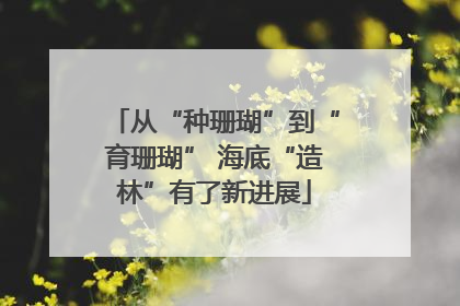 从“种珊瑚”到“育珊瑚” 海底“造林”有了新进展