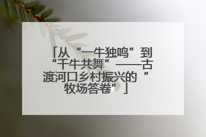 从“一牛独鸣”到“千牛共舞”——古渡河口乡村振兴的“牧场答卷”