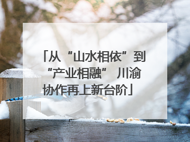 从“山水相依”到“产业相融” 川渝协作再上新台阶