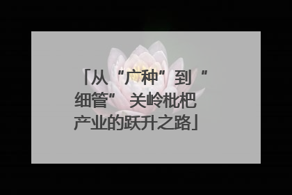 从“广种”到“细管” 关岭枇杷产业的跃升之路