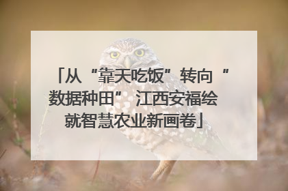 从“靠天吃饭”转向“数据种田” 江西安福绘就智慧农业新画卷
