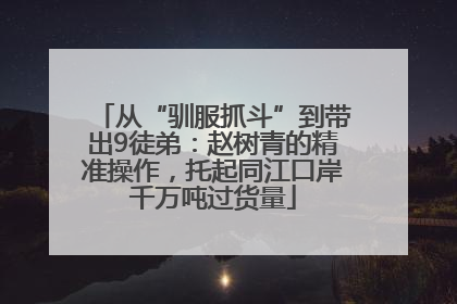 从“驯服抓斗”到带出9徒弟：赵树青的精准操作，托起同江口岸千万吨过货量