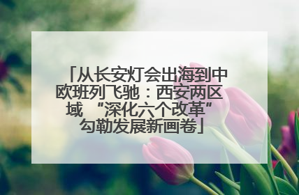 从长安灯会出海到中欧班列飞驰：西安两区域 “深化六个改革” 勾勒发展新画卷