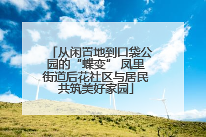 从闲置地到口袋公园的“蝶变” 凤里街道后花社区与居民共筑美好家园