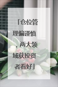 仓位管理偏谨慎，两大领域获投资者看好