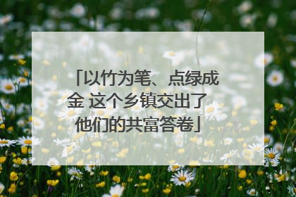 以竹为笔、点绿成金 这个乡镇交出了他们的共富答卷