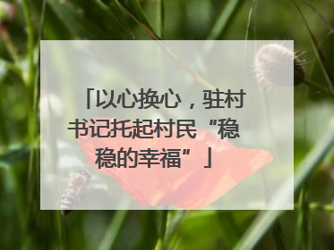 以心换心，驻村书记托起村民“稳稳的幸福”