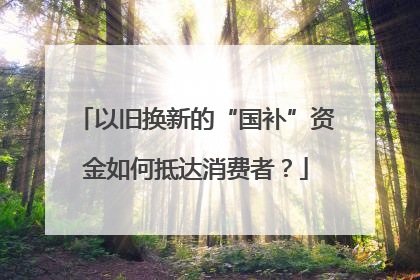 以旧换新的“国补”资金如何抵达消费者？