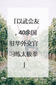 以武会友，40余国驻华外交官习练太极拳
