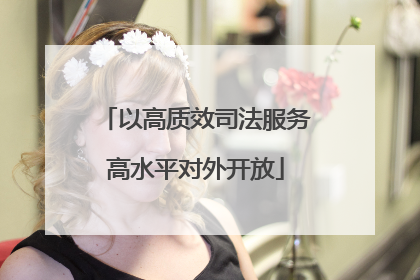 以高质效司法服务高水平对外开放