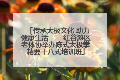 传承太极文化 助力健康生活——红谷滩区老体协举办陈式太极拳精要十八式培训班