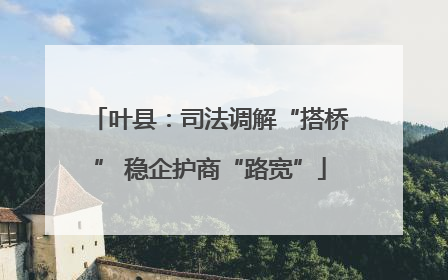 叶县：司法调解“搭桥” 稳企护商“路宽”