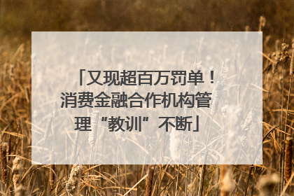 又现超百万罚单！消费金融合作机构管理“教训”不断