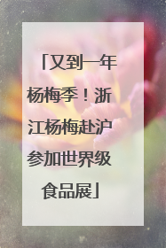 又到一年杨梅季！浙江杨梅赴沪参加世界级食品展