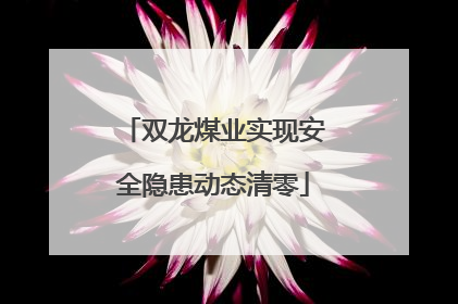 双龙煤业实现安全隐患动态清零