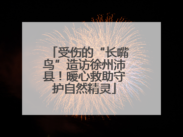 受伤的“长嘴鸟”造访徐州沛县！暖心救助守护自然精灵